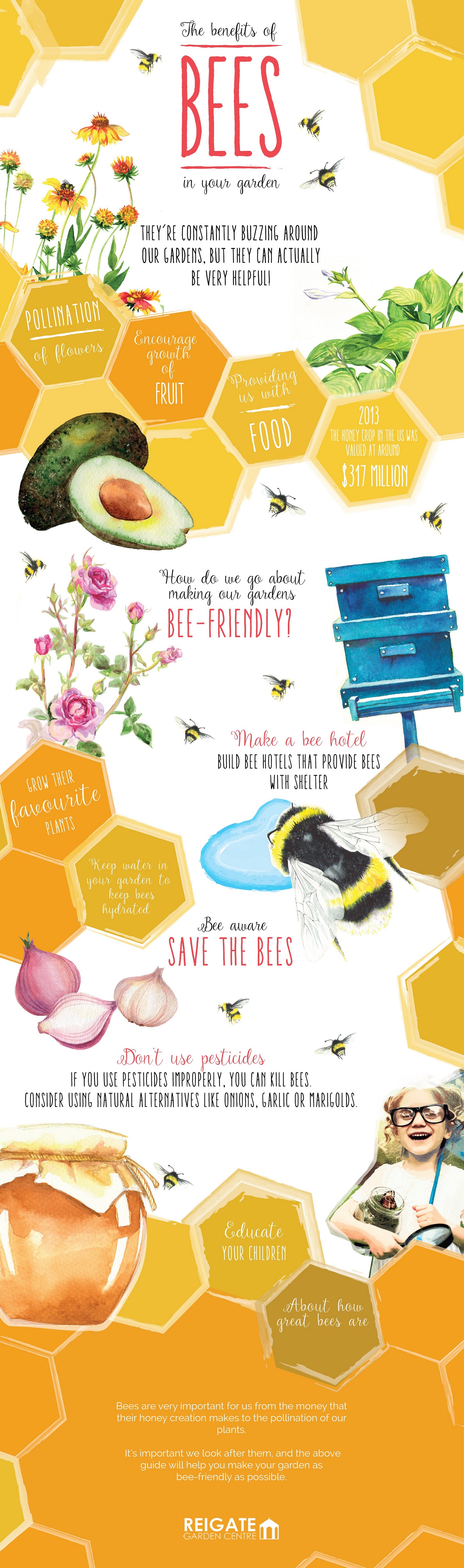 benefit of bees in your garden infographic